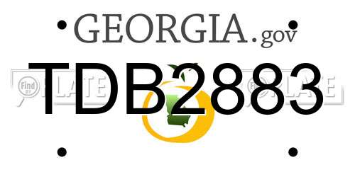 TDB2883 Georgia License Plate