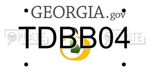 TDBB04 Georgia License Plate