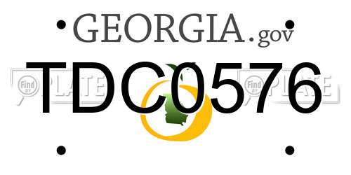 TDC0576 Georgia License Plate