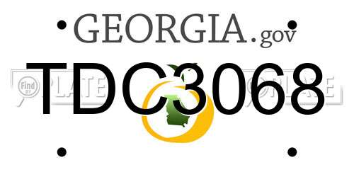 TDC3068 Georgia License Plate