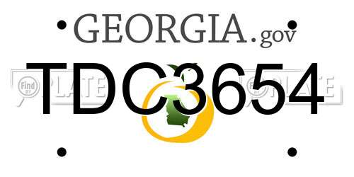 TDC3654 Georgia License Plate