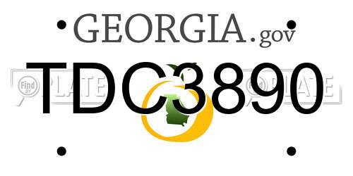 TDC3890 Georgia License Plate
