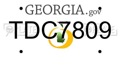 TDC7809 Georgia License Plate