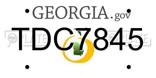 TDC7845 Georgia License Plate