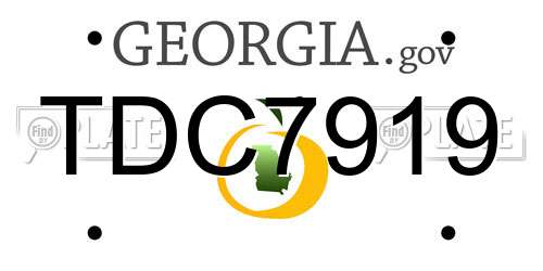 TDC7919 Georgia License Plate