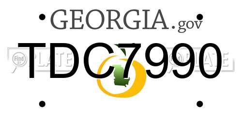 TDC7990 Georgia License Plate