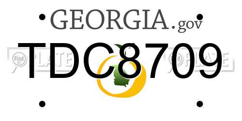 TDC8709 Georgia License Plate
