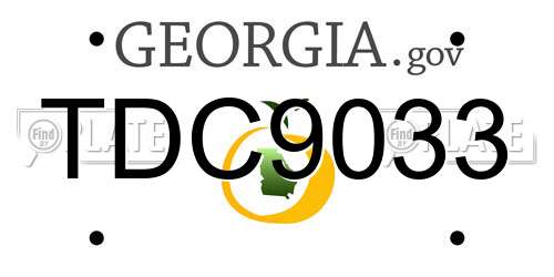 TDC9033 Georgia License Plate