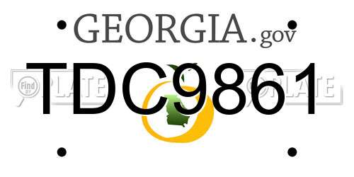 TDC9861 Georgia License Plate