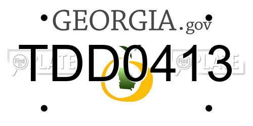 TDD0413 Georgia License Plate