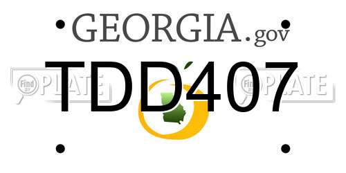 TDD407 Georgia License Plate