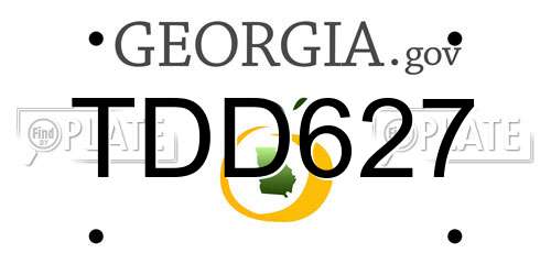 TDD627 Georgia License Plate