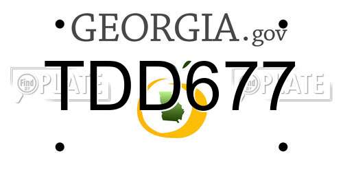 TDD677 Georgia License Plate