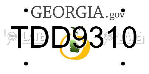 TDD9310 Georgia License Plate