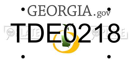 TDE0218 Georgia License Plate