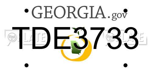 TDE3733 Georgia License Plate