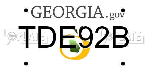 TDE92B Georgia License Plate