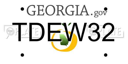 TDEW32 Georgia License Plate