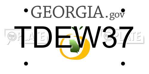 TDEW37 Georgia License Plate