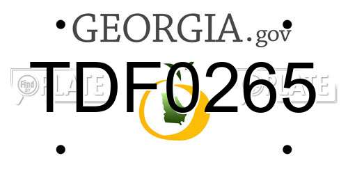 TDF0265 Georgia License Plate