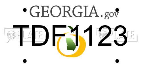 TDF1123 Georgia License Plate