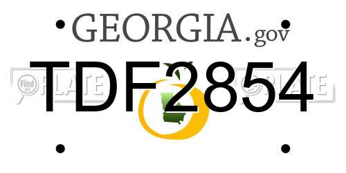 TDF2854 Georgia License Plate