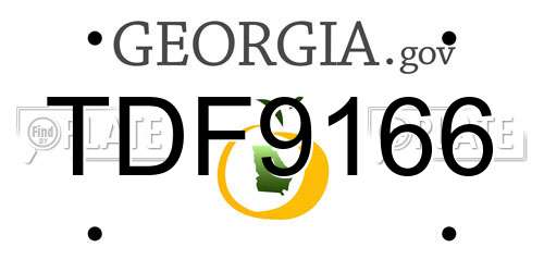 TDF9166 Georgia License Plate