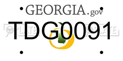 TDG0091 Georgia License Plate