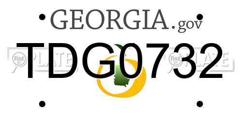 TDG0732 Georgia License Plate