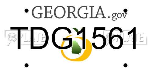 TDG1561 Georgia License Plate