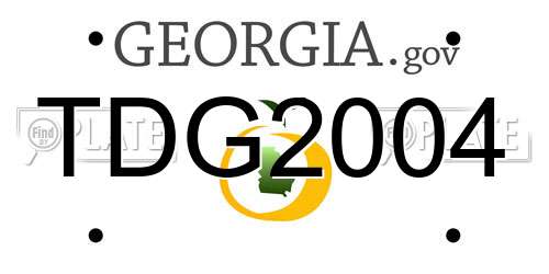TDG2004 Georgia License Plate