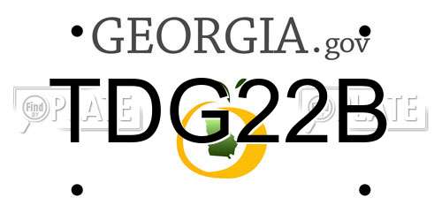 TDG22B Georgia License Plate