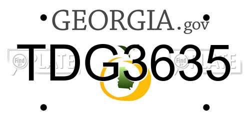 TDG3635 Georgia License Plate