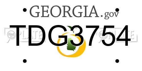 TDG3754 Georgia License Plate