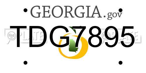 TDG7895 Georgia License Plate