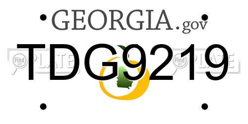 TDG9219 Georgia License Plate