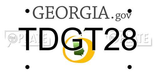 TDGT28 Georgia License Plate