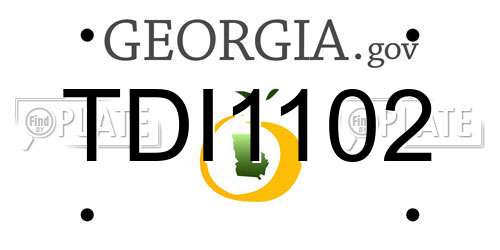 TDI1102 Georgia License Plate