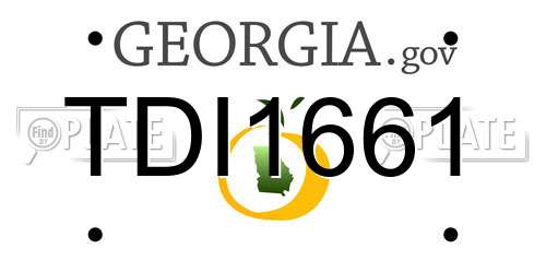 TDI1661 Georgia License Plate