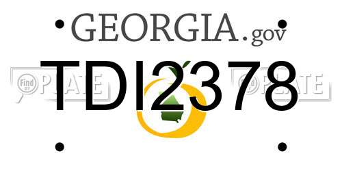 TDI2378 Georgia License Plate