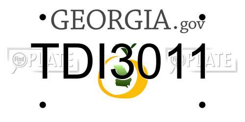 TDI3011 Georgia License Plate