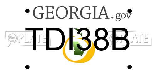TDI38B Georgia License Plate