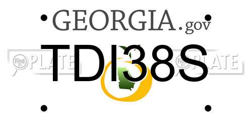 TDI38S Georgia License Plate