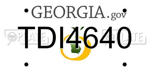 TDI4640 Georgia License Plate