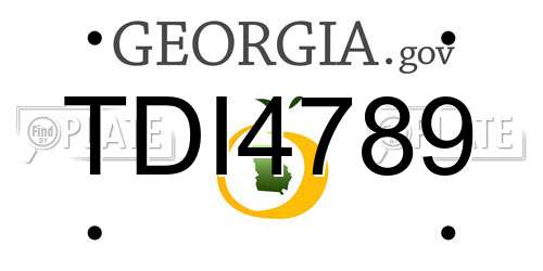 TDI4789 Georgia License Plate