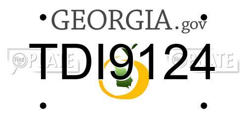 TDI9124 Georgia License Plate