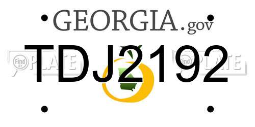 TDJ2192 Georgia License Plate