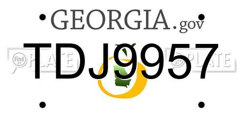 TDJ9957 Georgia License Plate