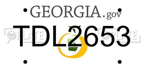 TDL2653 Georgia License Plate