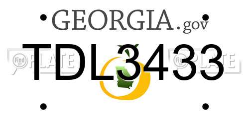 TDL3433 Georgia License Plate